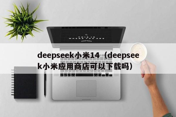 deepseek小米14（deepseek小米应用商店可以下载吗）