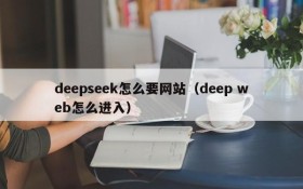 deepseek怎么要网站（deep web怎么进入）