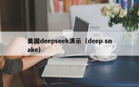 美国deepseek演示（deep snake）