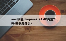 amd内置deepseek（AMD内置TPM开关是什么）