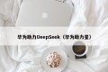 华为助力DeepSeek（华为助力星）