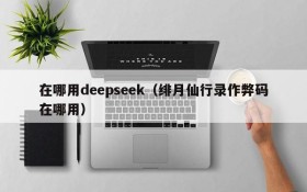 在哪用deepseek(绯月仙行录作弊码在哪用)