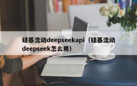 硅基流动deepseekapi(硅基流动deepseek怎么用)