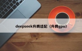 deepseek升腾适配（升腾gpu）