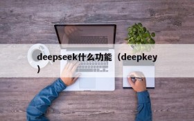 deepseek什么功能（deepkey）