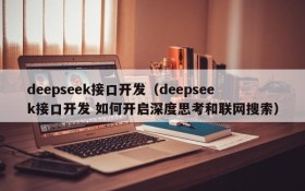 deepseek接口开发（deepseek接口开发 如何开启深度思考和联网搜索）