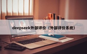 deepseek外部评价（外部评价系统）