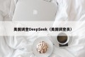 美国调查DeepSeek（美国调查员）