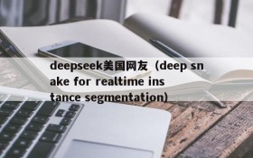 deepseek美国网友（deep snake for realtime instance segmentation）