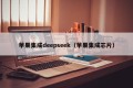 苹果集成deepseek（苹果集成芯片）