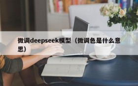 微调deepseek模型（微调色是什么意思）