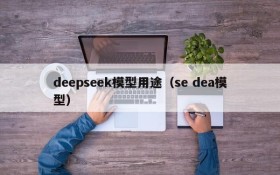 deepseek模型用途(se dea模型)