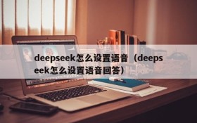 deepseek怎么设置语音（deepseek怎么设置语音回答）