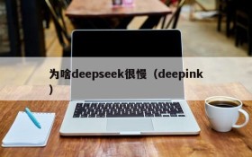为啥deepseek很慢（deepink）