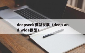 deepseek模型发展（deep and wide模型）