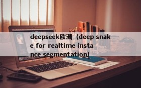 deepseek欧洲（deep snake for realtime instance segmentation）