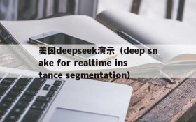 美国deepseek演示（deep snake for realtime instance segmentation）