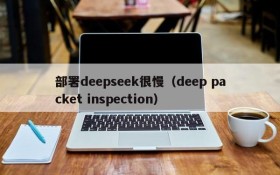 部署deepseek很慢（deep packet inspection）