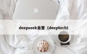 deepseek自营(deeptech)