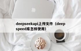 deepseekapi上传文件（deepspeed库怎样使用）