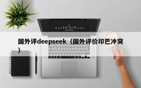 国外评deepseek(国外评价印巴冲突)