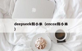 deepseek和小米(encox和小米)