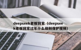 deepseek老板回家（deepseek老板回家过年什么级别保护视频）