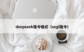 deepseek指令格式(segl指令)