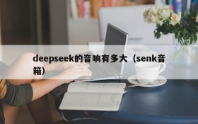 deepseek的音响有多大(senk音箱)