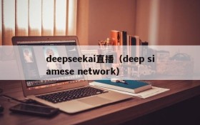 deepseekai直播(deep siamese network)