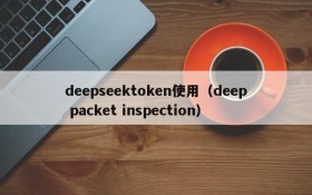 deepseektoken使用（deep packet inspection）