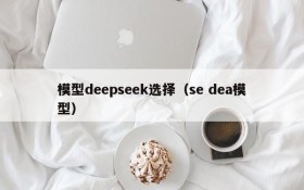 模型deepseek选择（se dea模型）