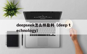 deepseek怎么样盈利(deep technology)