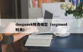 deepseek财务模型(segment财务)