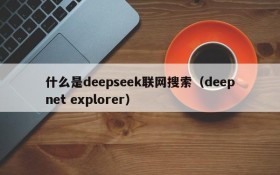 什么是deepseek联网搜索(deepnet explorer)