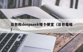 豆包和deepseek哪个便宜(豆包是啥)