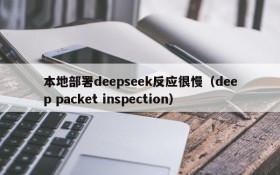 本地部署deepseek反应很慢(deep packet inspection)