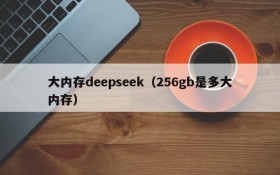 大内存deepseek(256gb是多大内存)