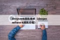 deepseek团队技术（deeper network团队介绍）