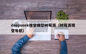 deepseek视觉模型树莓派(树莓派视觉导航)