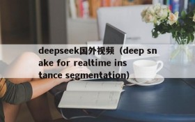 deepseek国外视频（deep snake for realtime instance segmentation）