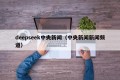 deepseek中央新闻（中央新闻新闻频道）