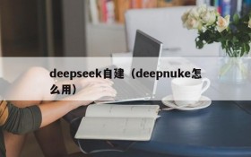 deepseek自建（deepnuke怎么用）