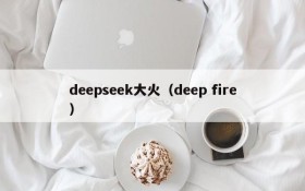 deepseek大火（deep fire）