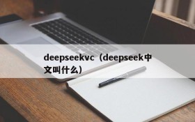 deepseekvc（deepseek中文叫什么）