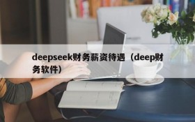 deepseek财务薪资待遇（deep财务软件）