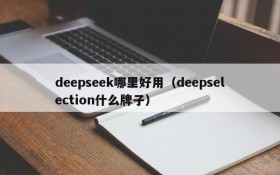 deepseek哪里好用（deepselection什么牌子）