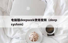 电脑版deepseek使用视频(deepsystem)