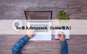 lm导入deepseek（lsmw导入）