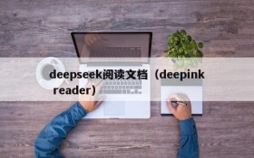 deepseek阅读文档（deepink reader）